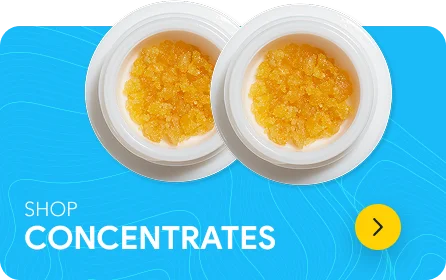 Concentrates Ddc