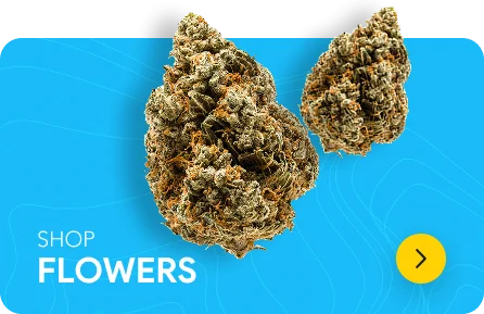 Flowers Ddc1