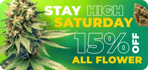 Stay High Saturday Homepage